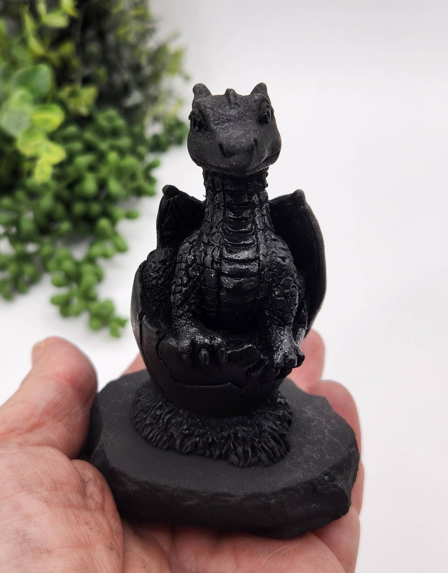 Shungite Dragon