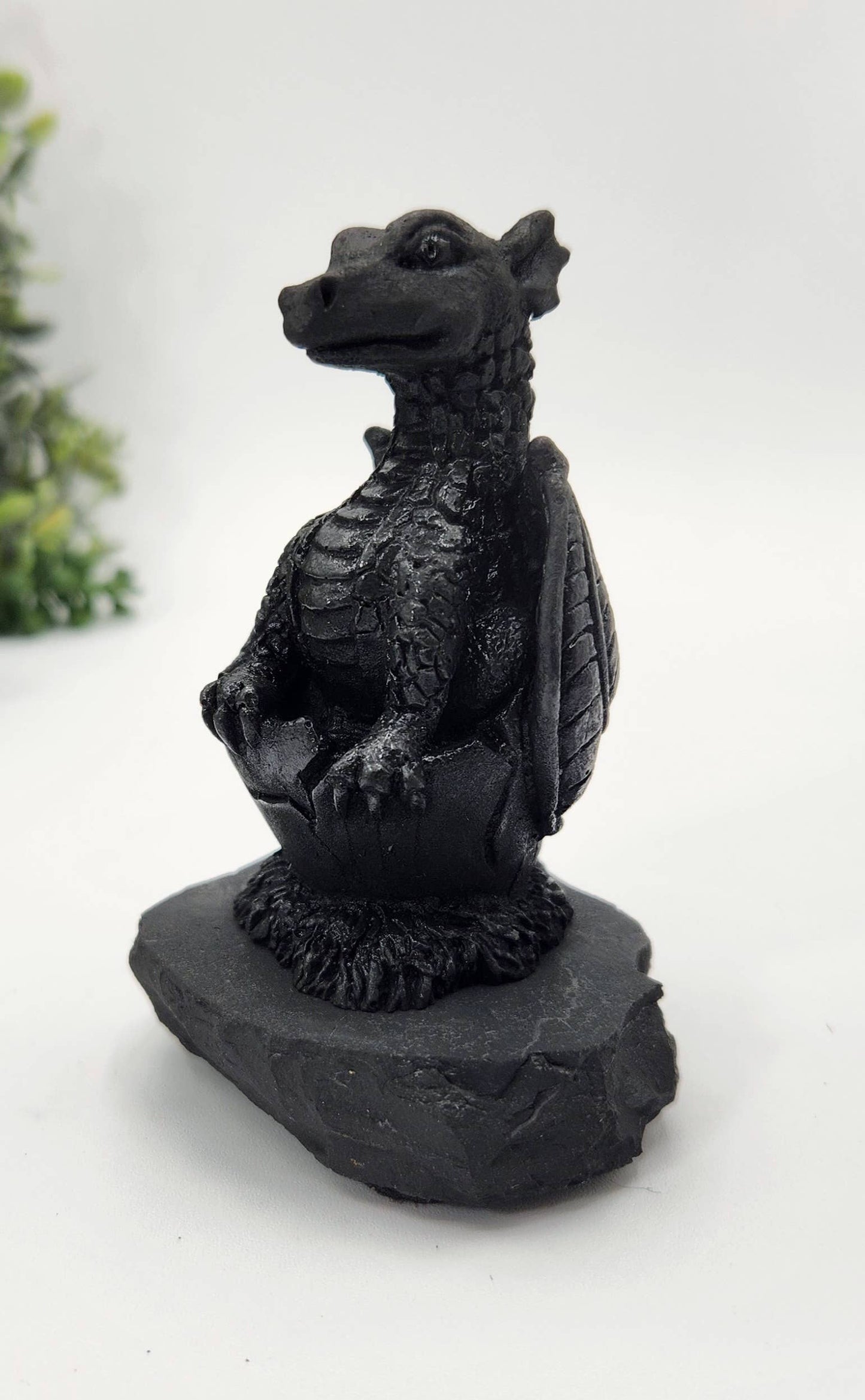Shungite Dragon