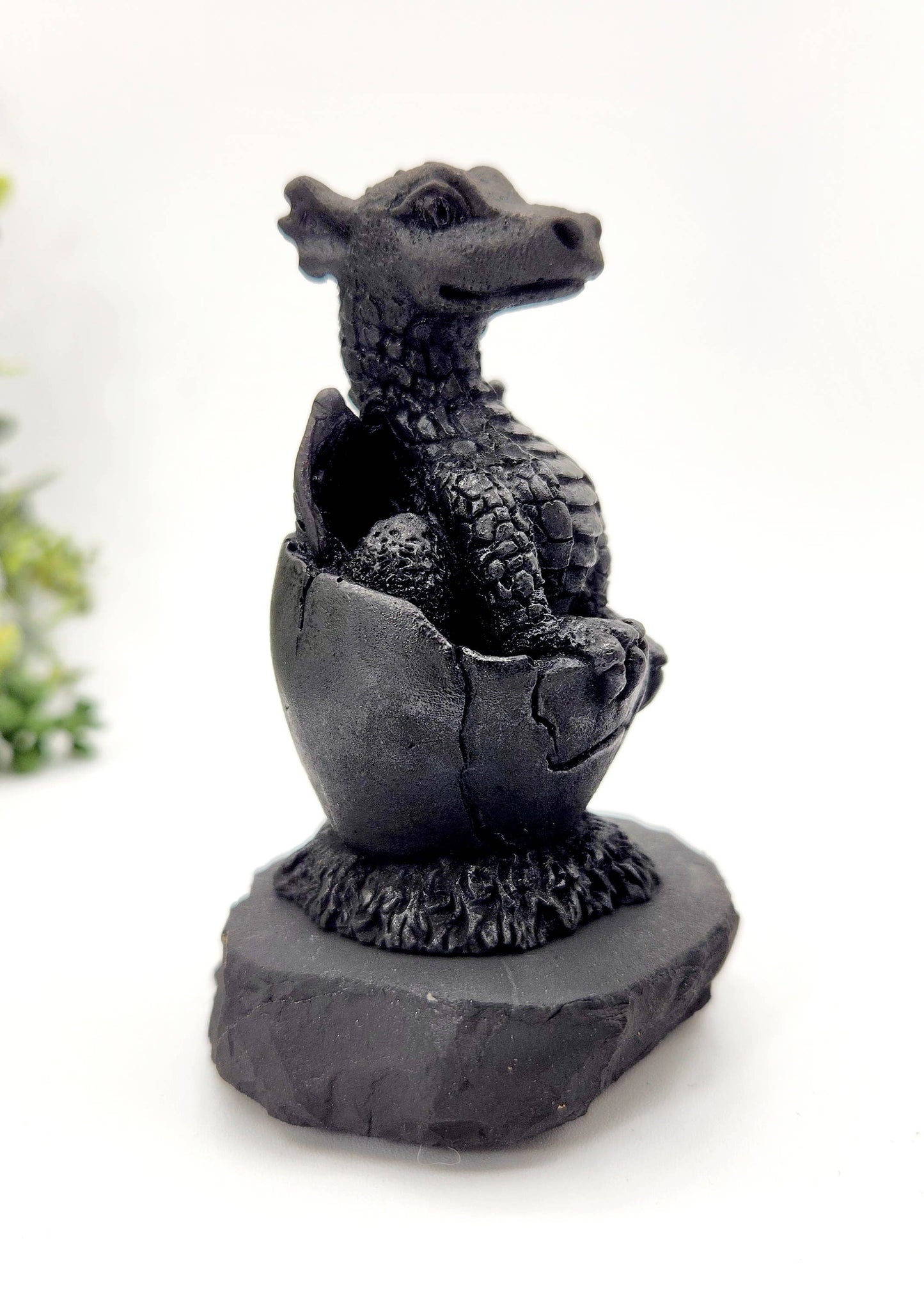 Shungite Dragon