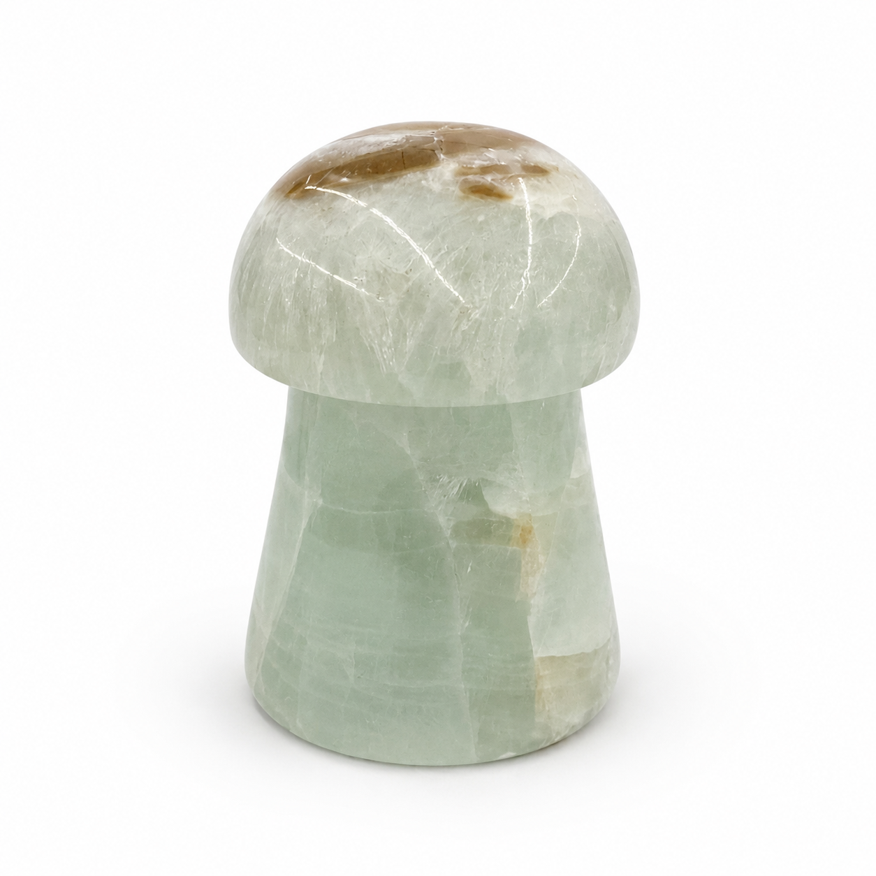 Caribbean Calcite Mushroom