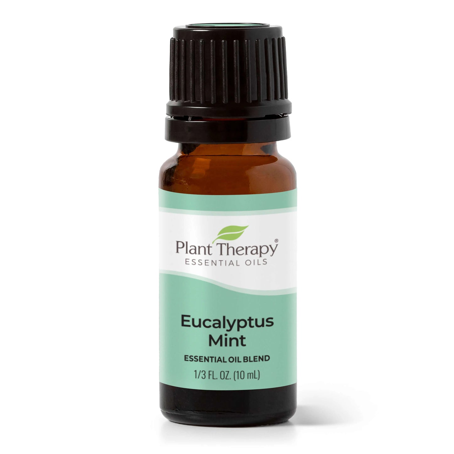 Eucalyptus Mint