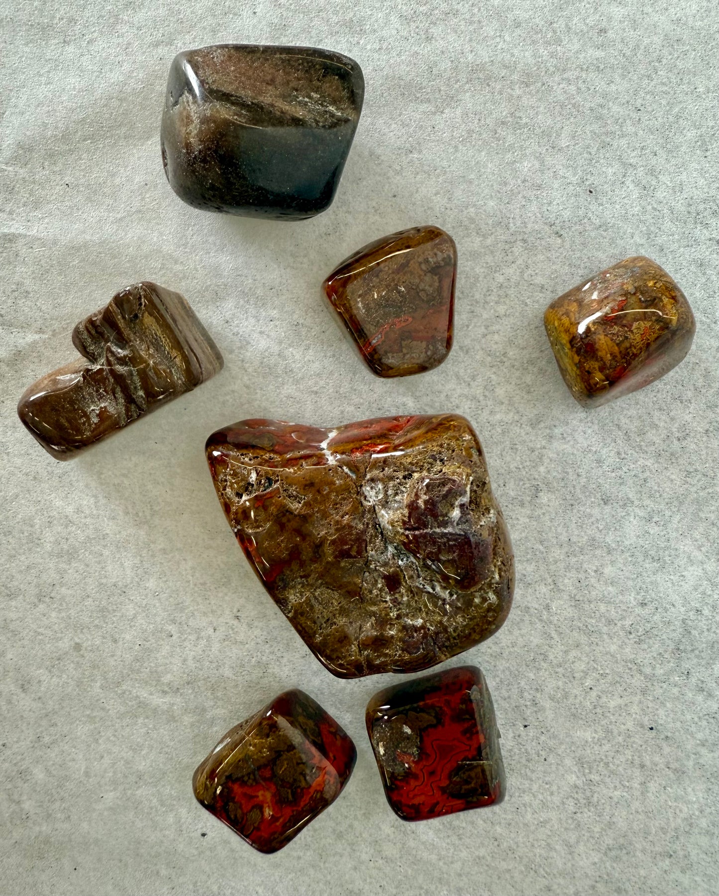 Petrified Wood