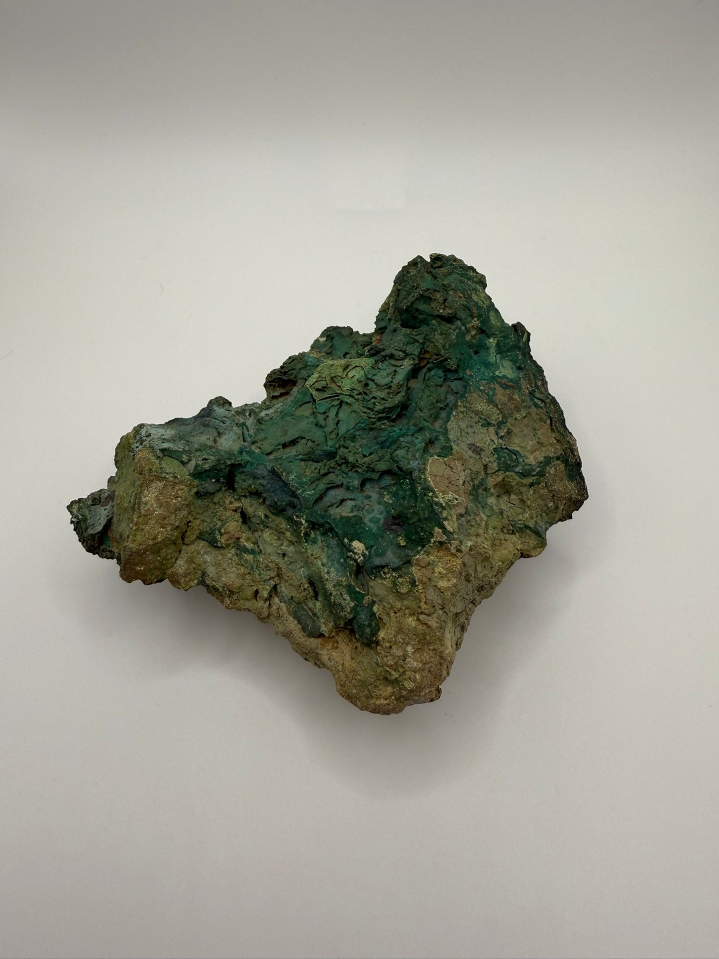 Petrified Wood