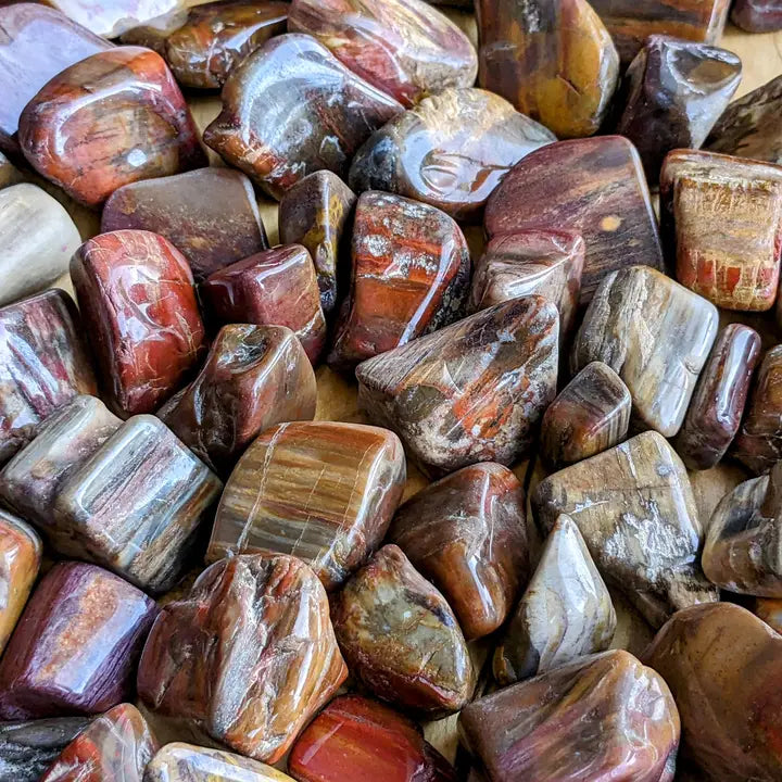 Petrified Wood Tumble