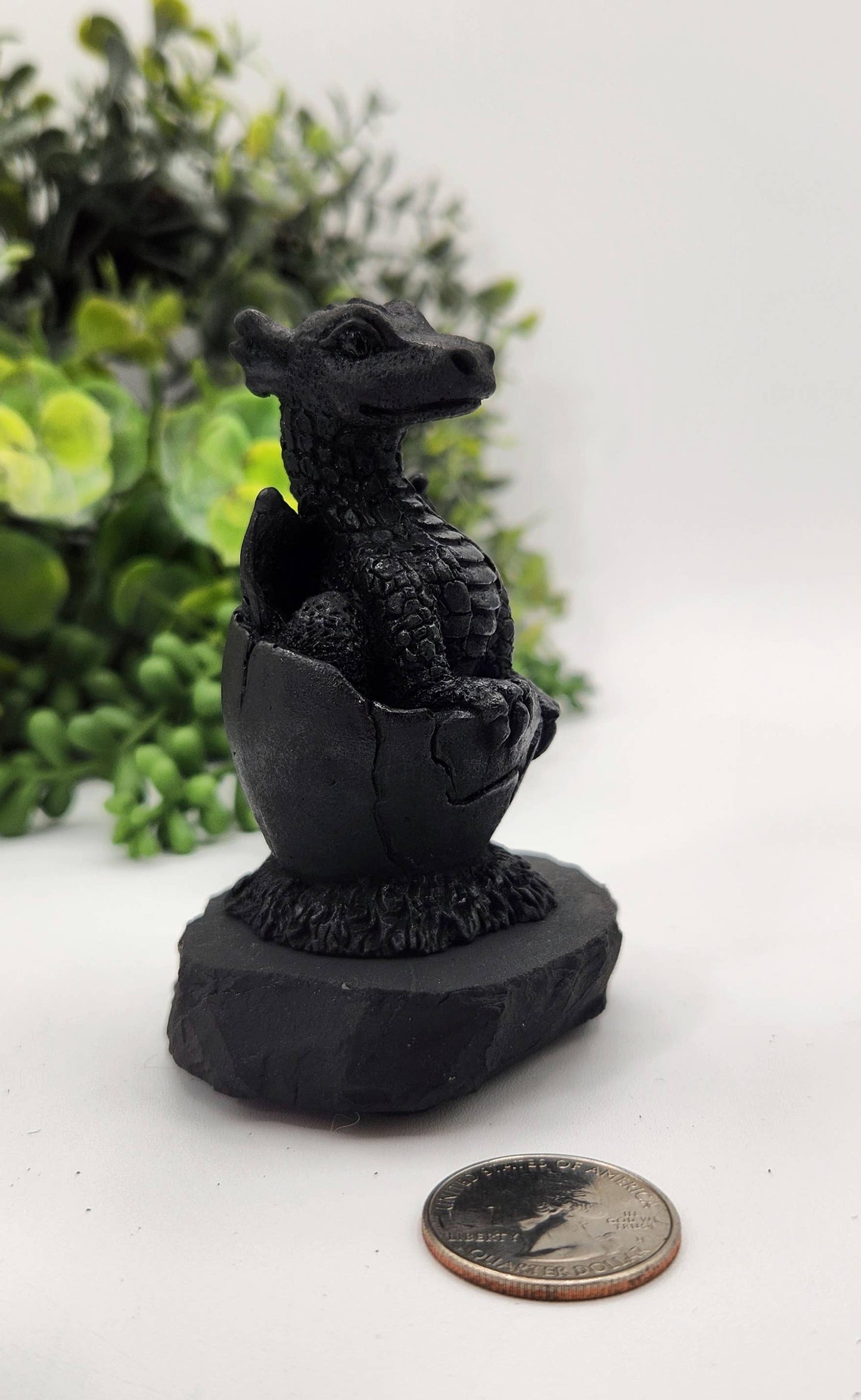 Shungite Dragon