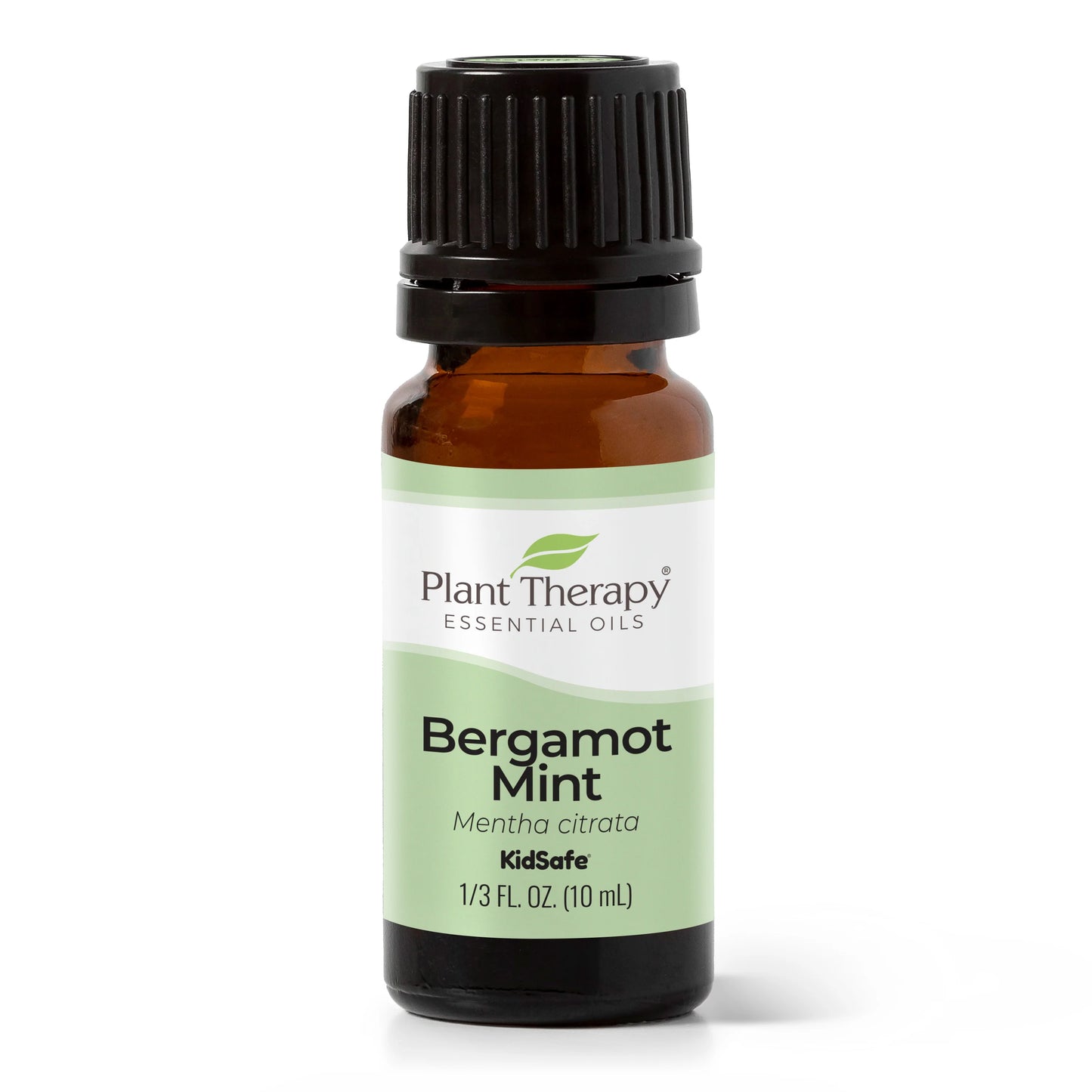 Bergamot Mint