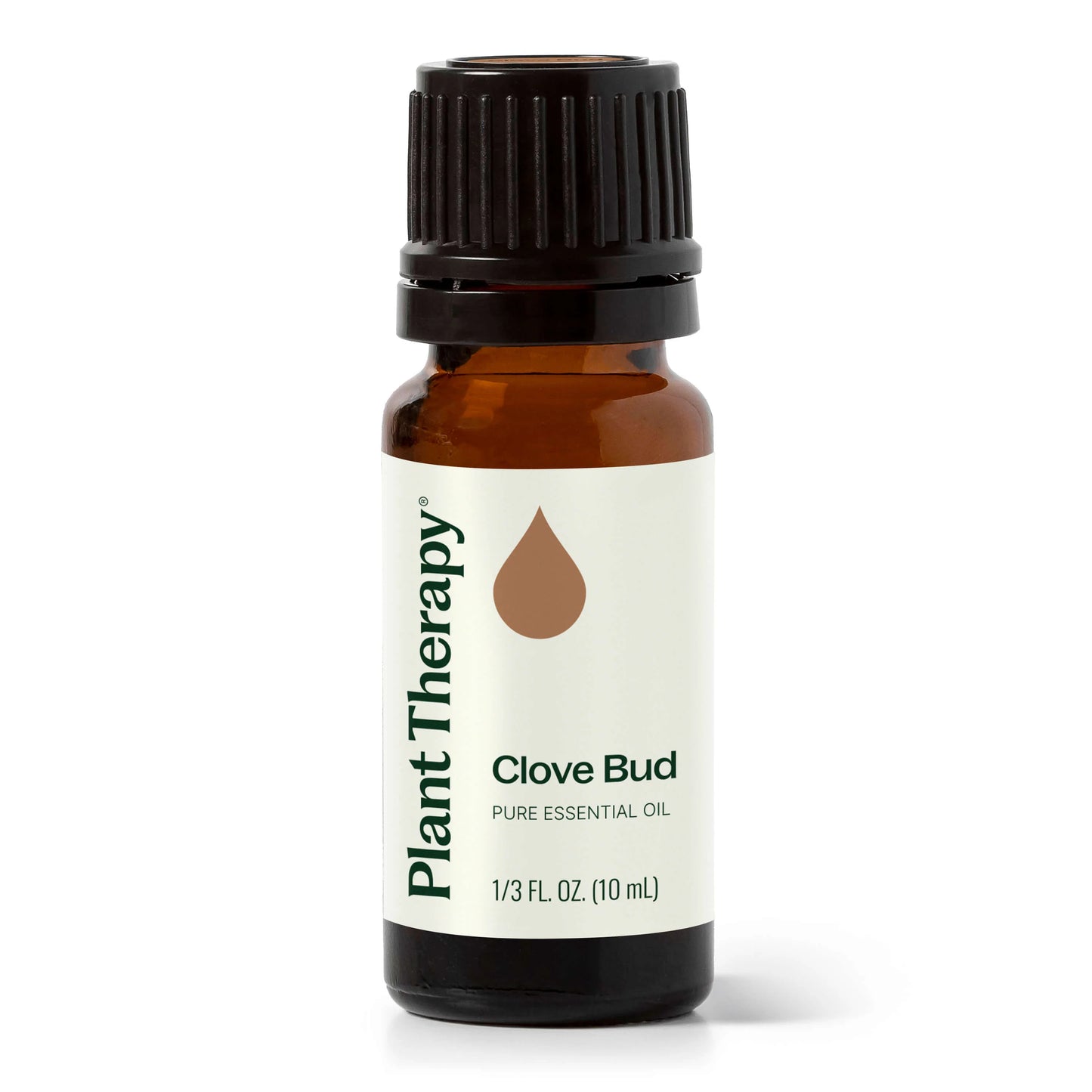 Clove Bud