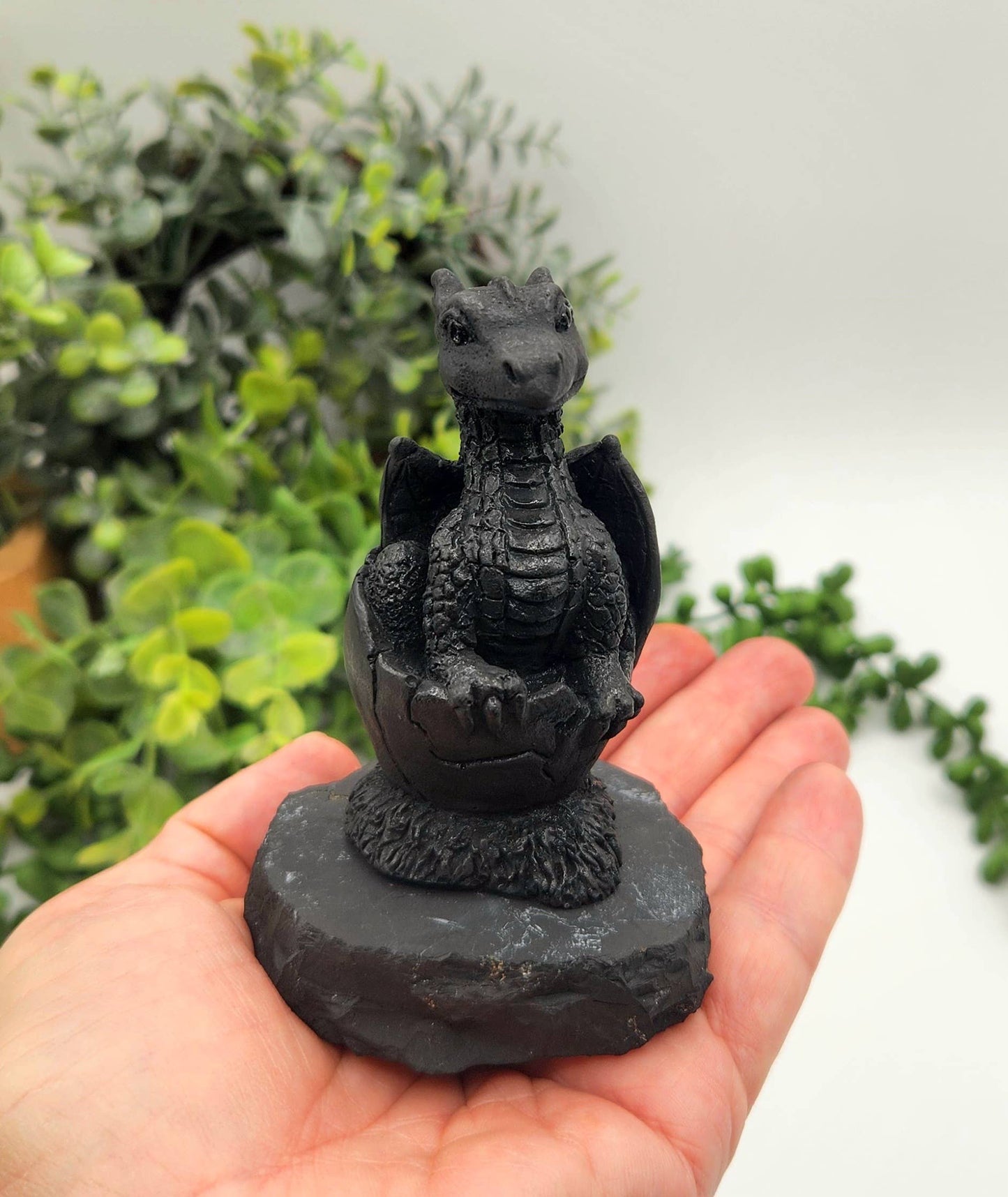 Shungite Dragon