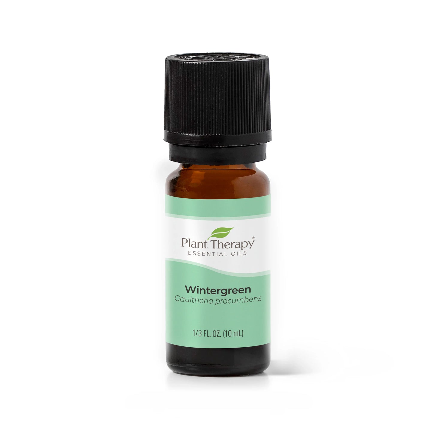 Wintergreen