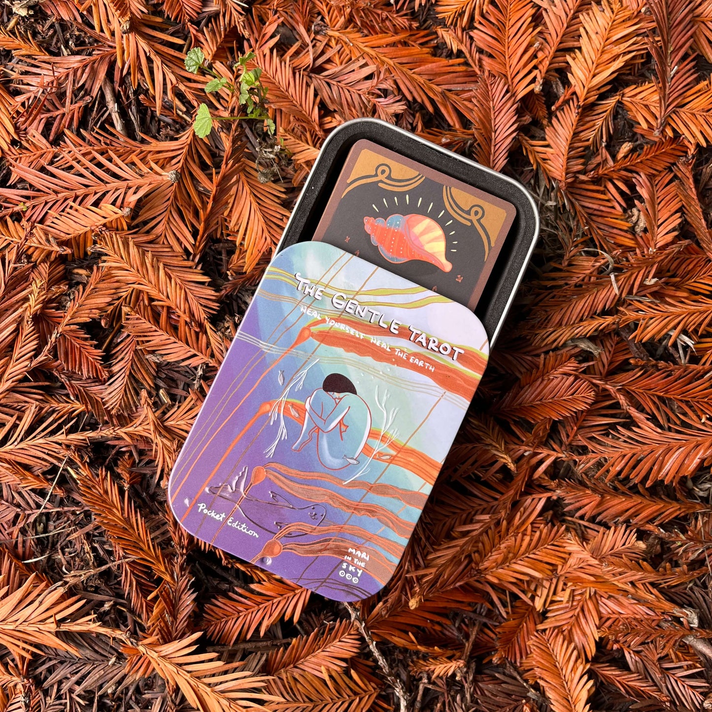 The Gentle Tarot Pocket Deck and Tin
