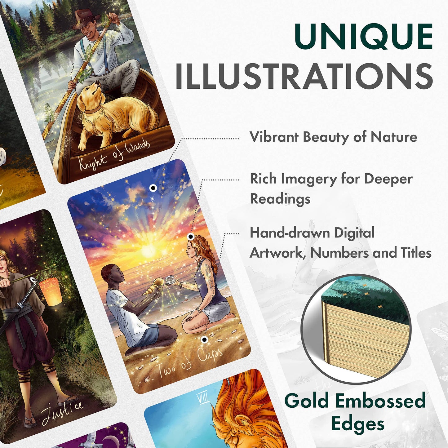 Wild Reflections Tarot Cards
