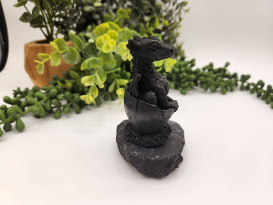 Shungite Dragon