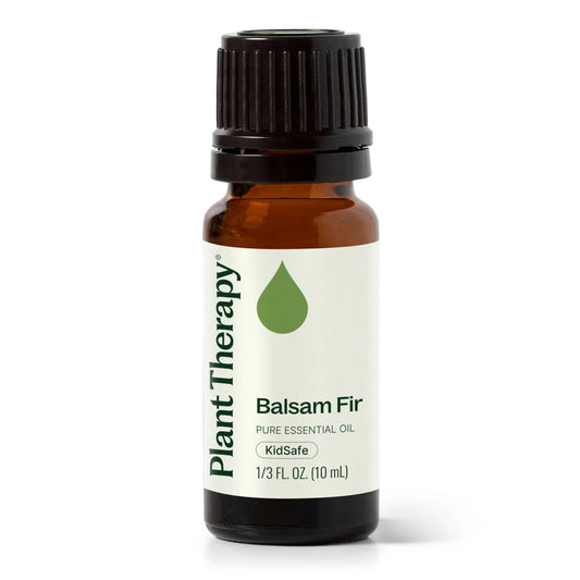 Balsam Fir