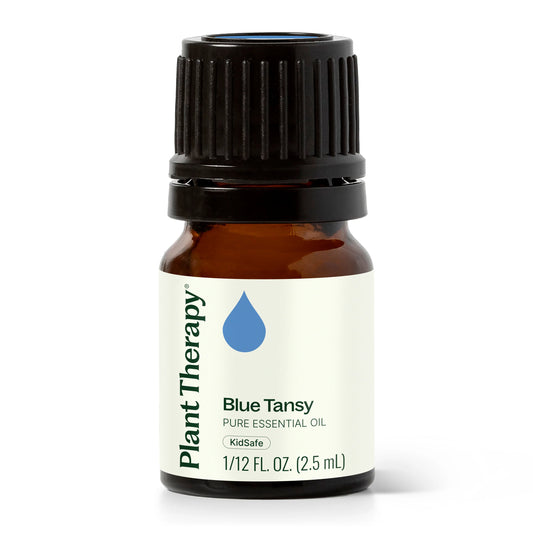Blue Tansy