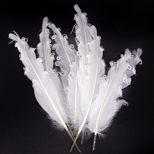 Goose Feather