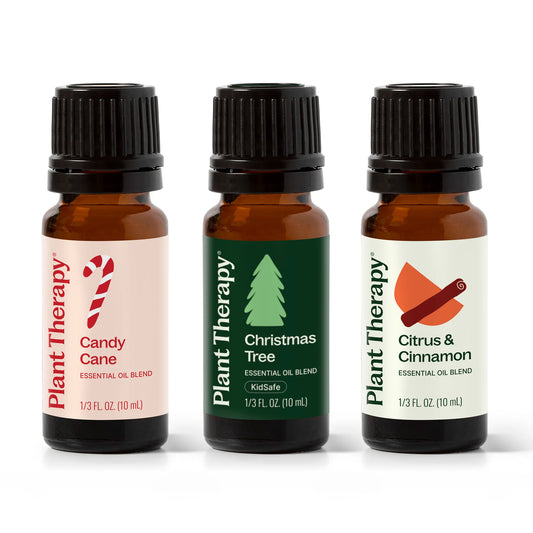 Holiday Delights Set