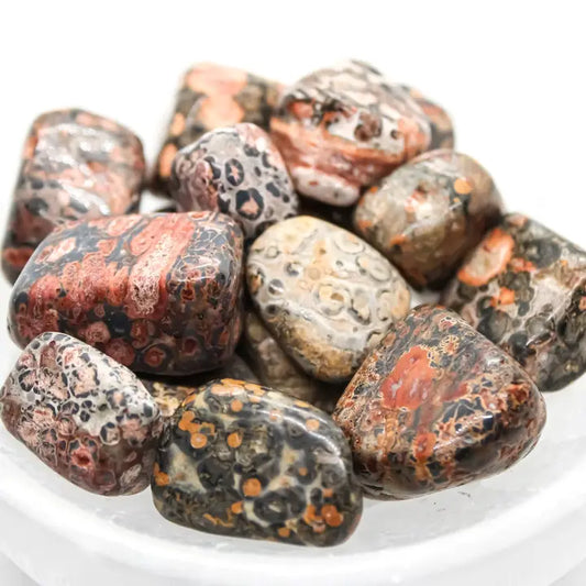 Leopard Skin Jasper