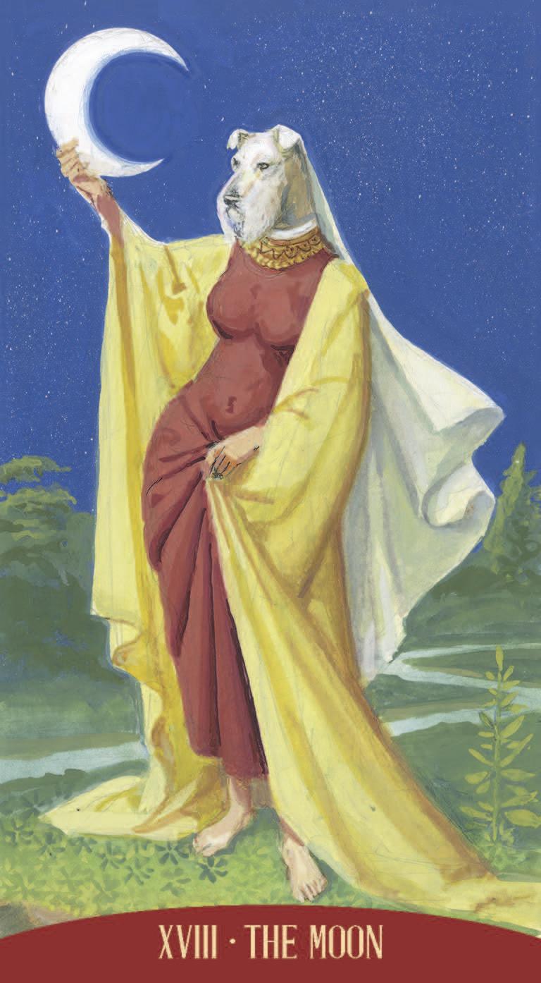Royal Animals Tarot