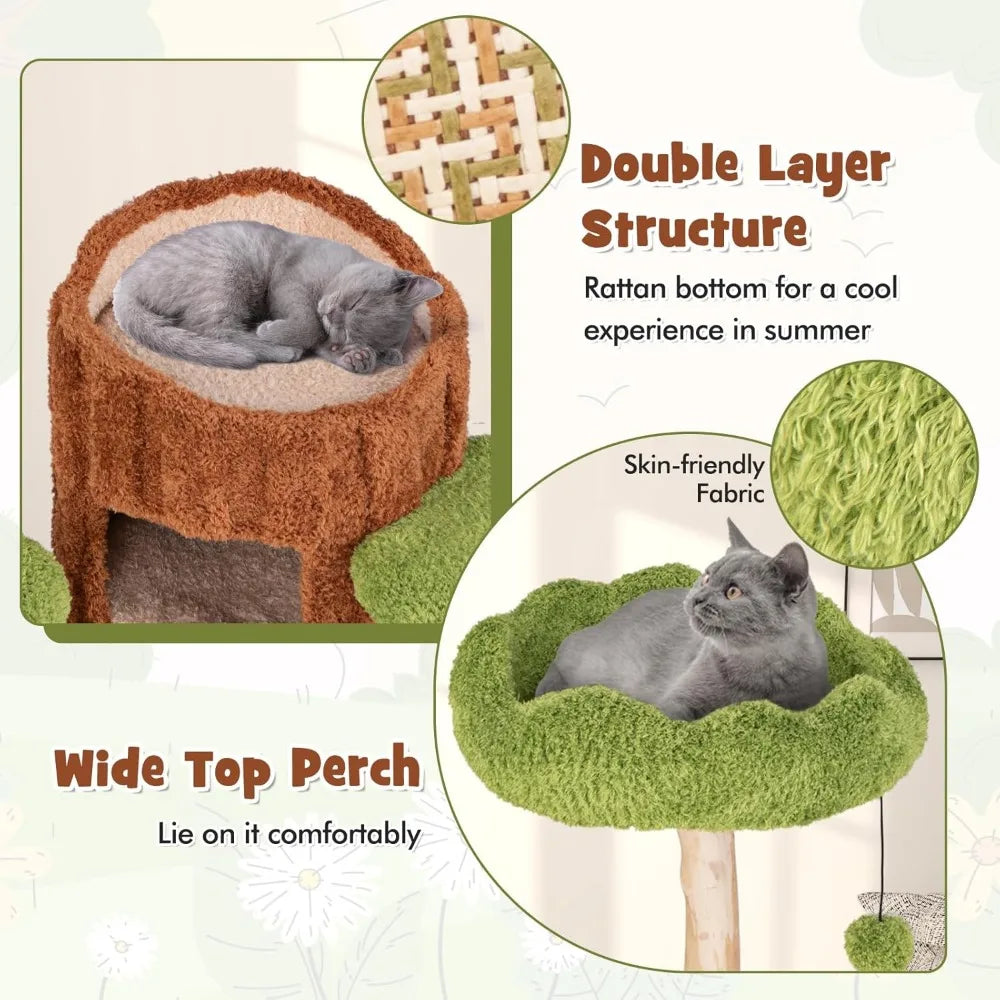 XL Wood Cat Tree, Multi-Level Cat Tower with Double Decker Cat House