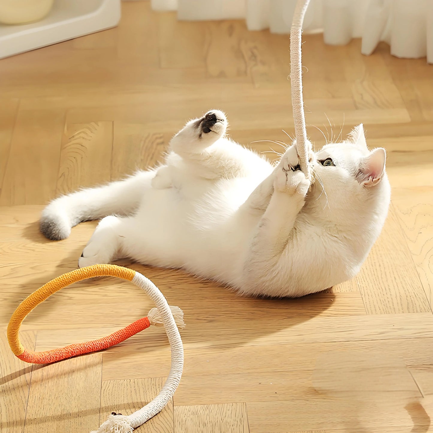 Cat Biting Rope with Wand