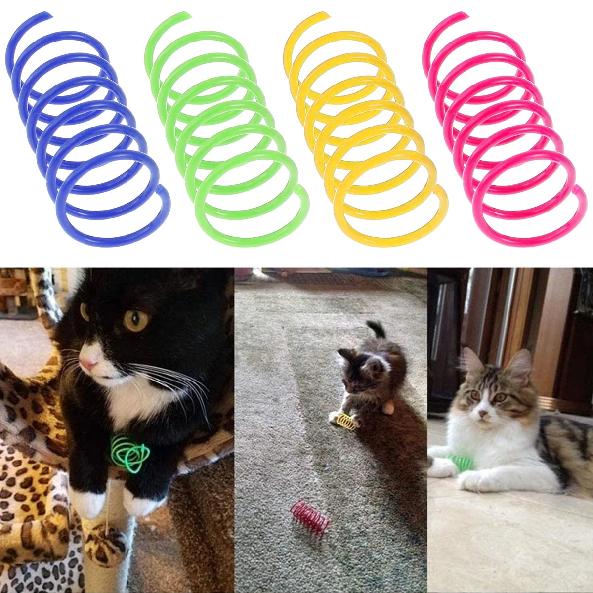Cat Spring Toy 80 Pack