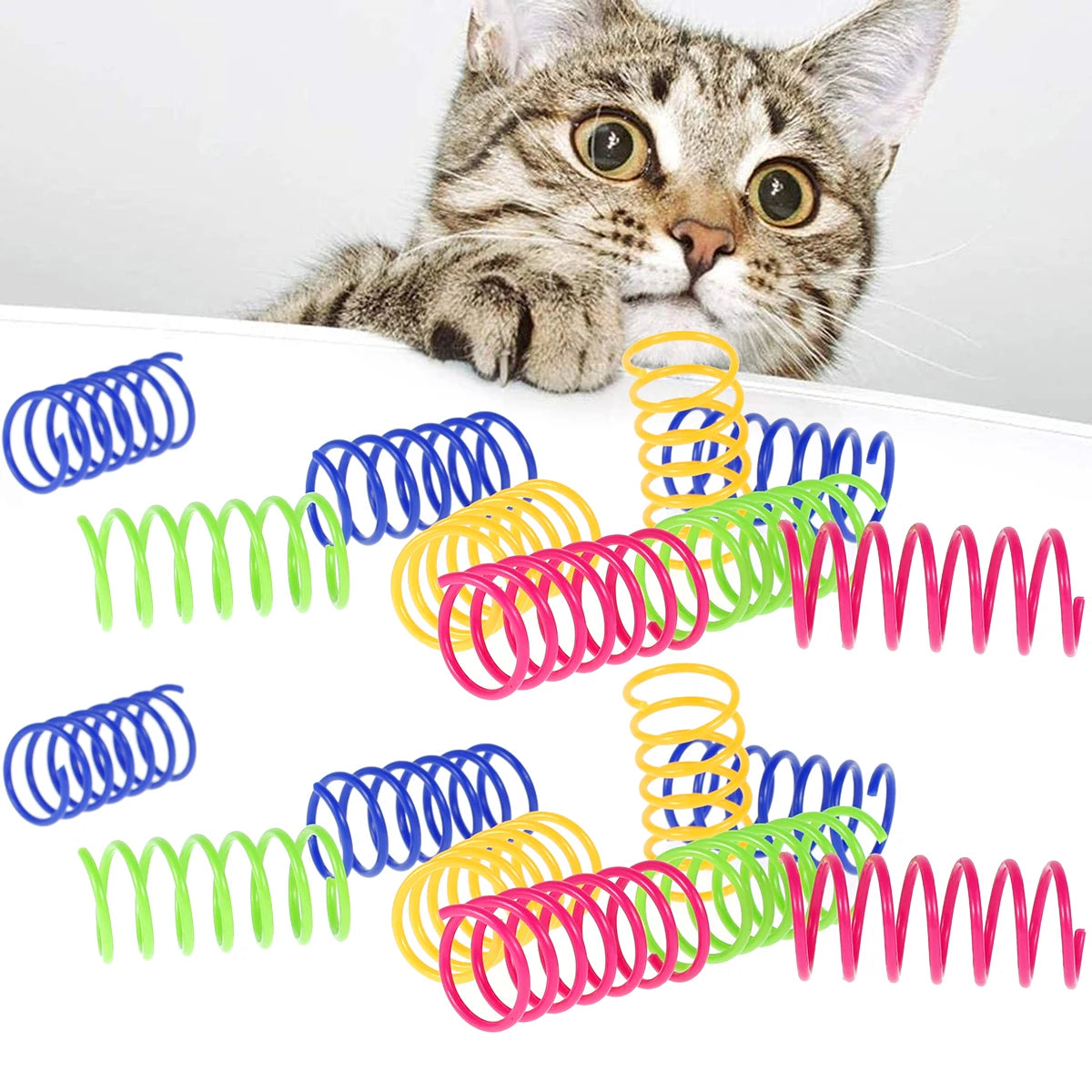 Cat Spring Toy 80 Pack