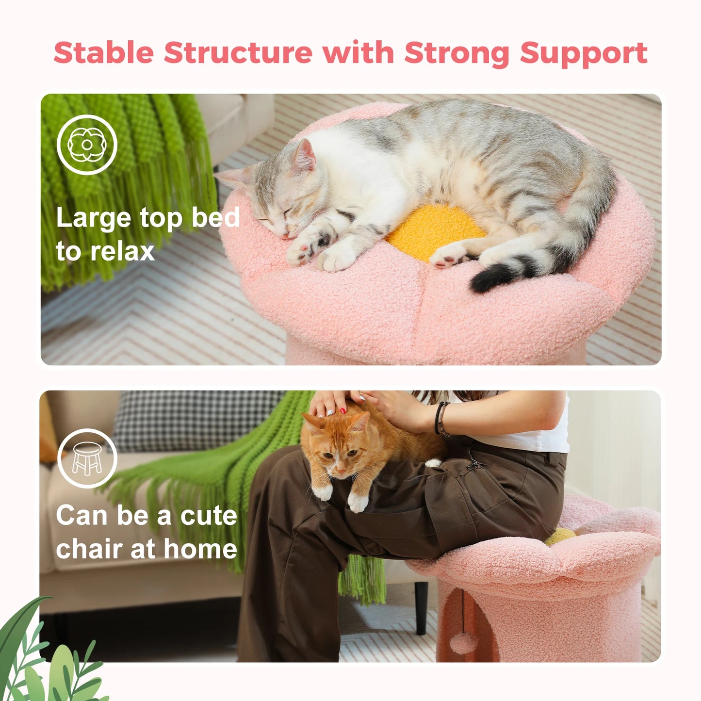 Cat House with Removable Flower Cat Bed