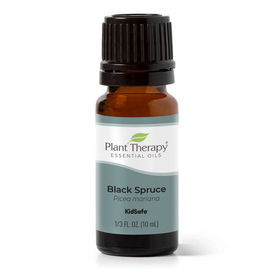 Black Spruce