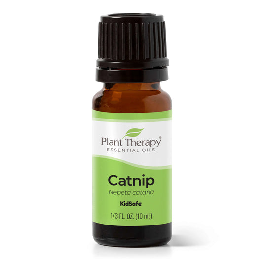 Catnip