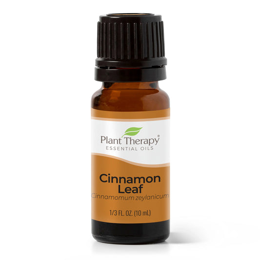 Cinnamon Leaf