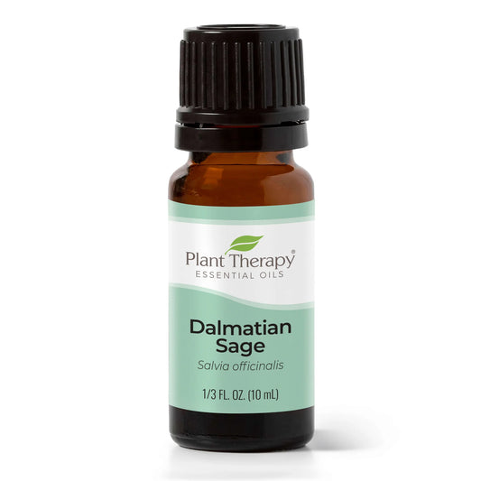 Dalmatian Sage
