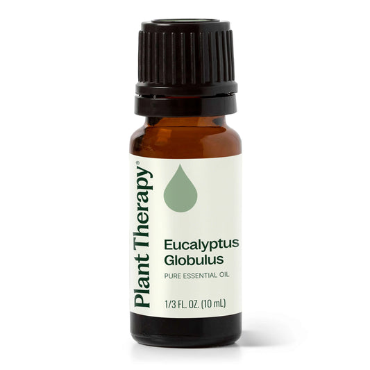 Eucalyptus Globulus