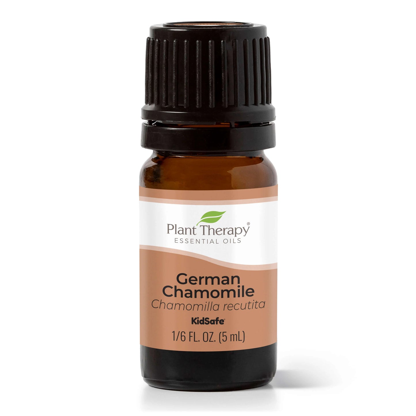 German Chamomile