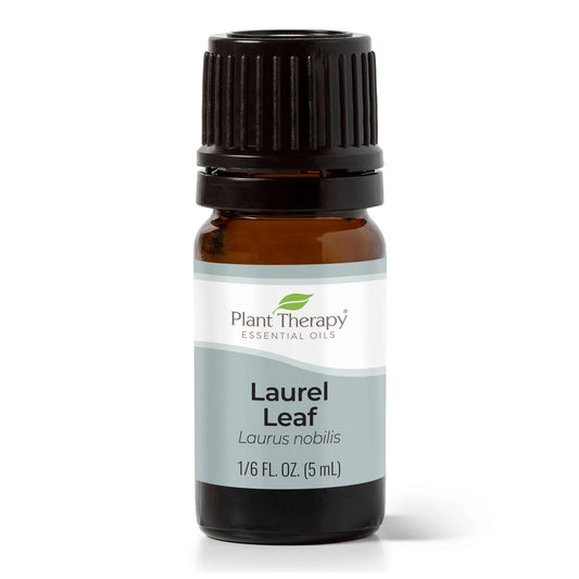 Laurel Leaf