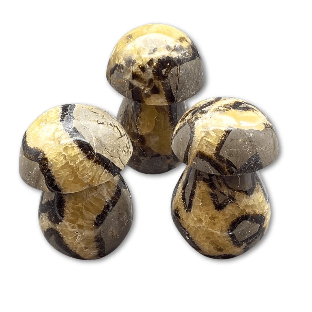 Septarian Mushroom